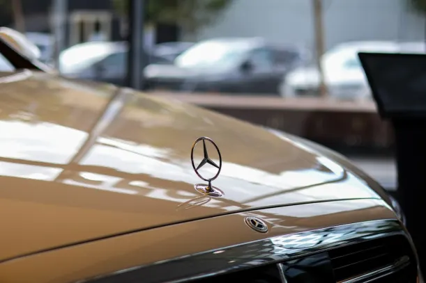 كازينو فيرغراوند سلوتس تطبيق أندرويد/آي أو إس